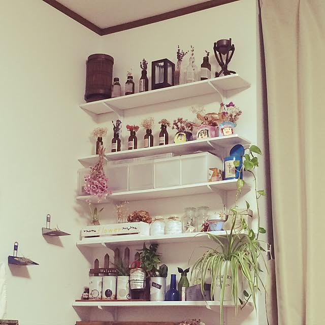 sakiさんの実例写真
