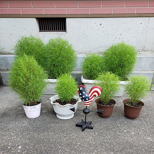 nanaさんの実例写真