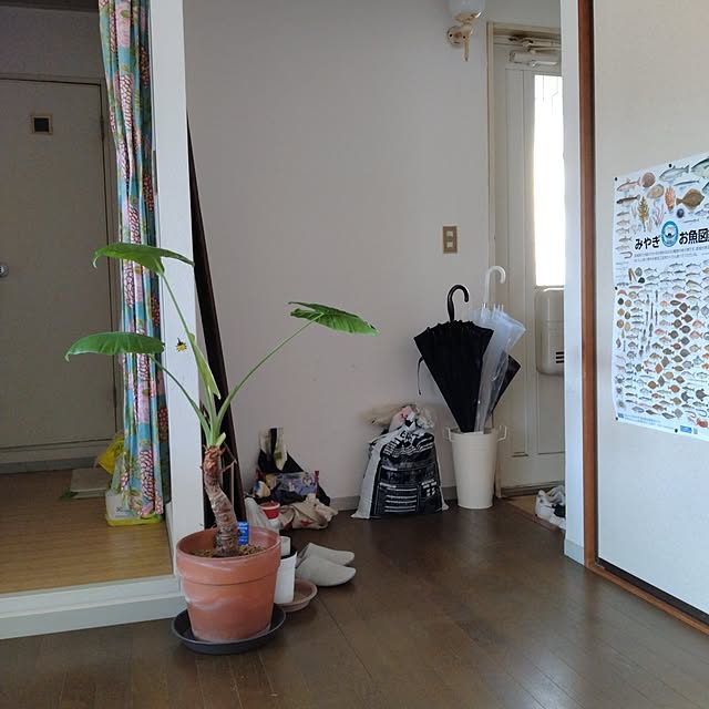 m.mさんの実例写真