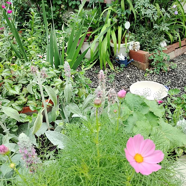 kiraさんの部屋