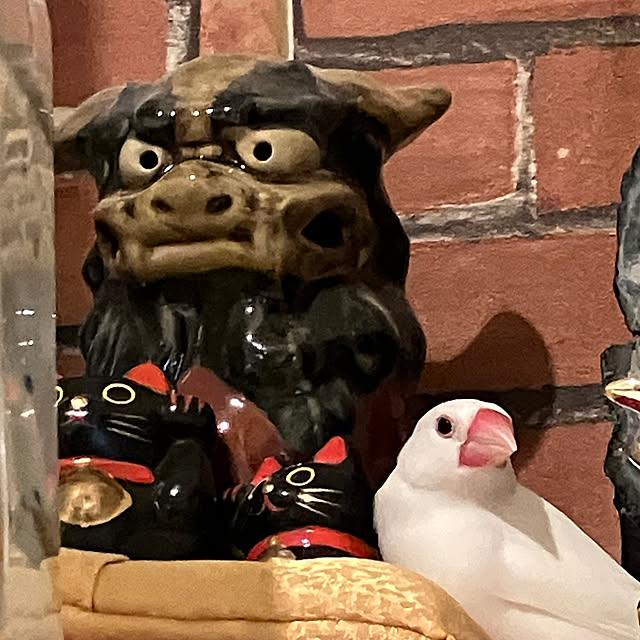 u-さんの実例写真