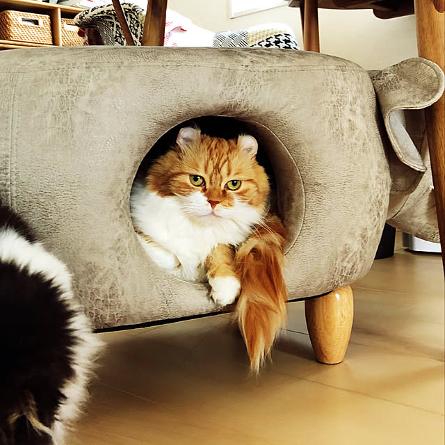 猫の別荘 猫ベッド簡約 132*70*68cm バカバカしい キャット 猫の別荘 猫ベッド簡約 132*70*68cm バカバカしい キャット