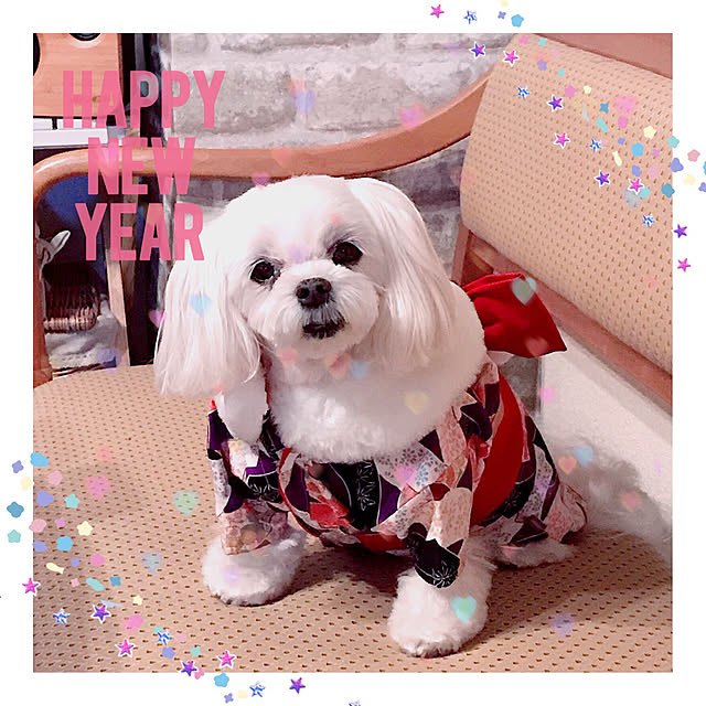 Sonokoさんの実例写真