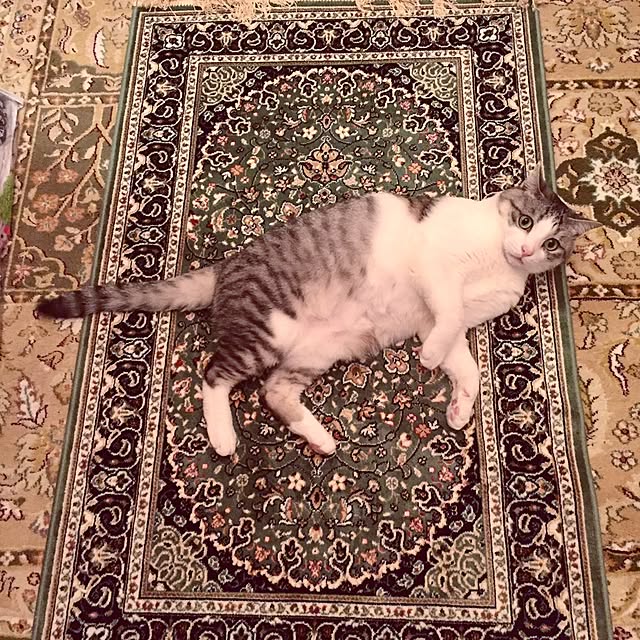 emmyyさんの実例写真