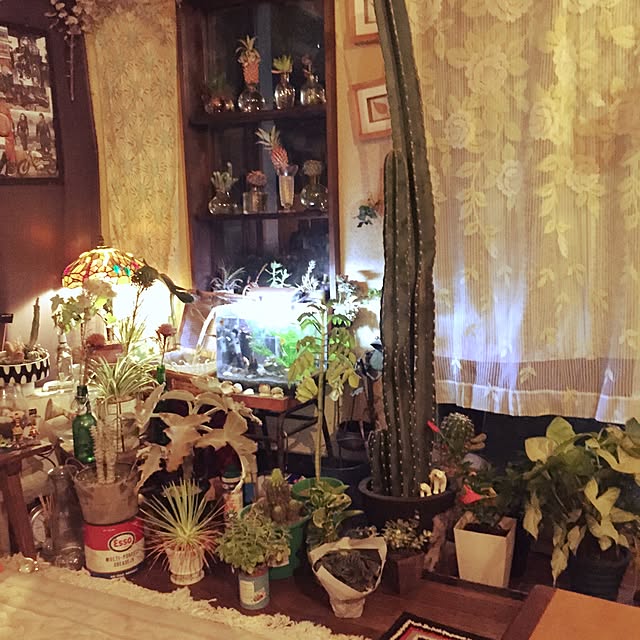 Masahideさんの実例写真