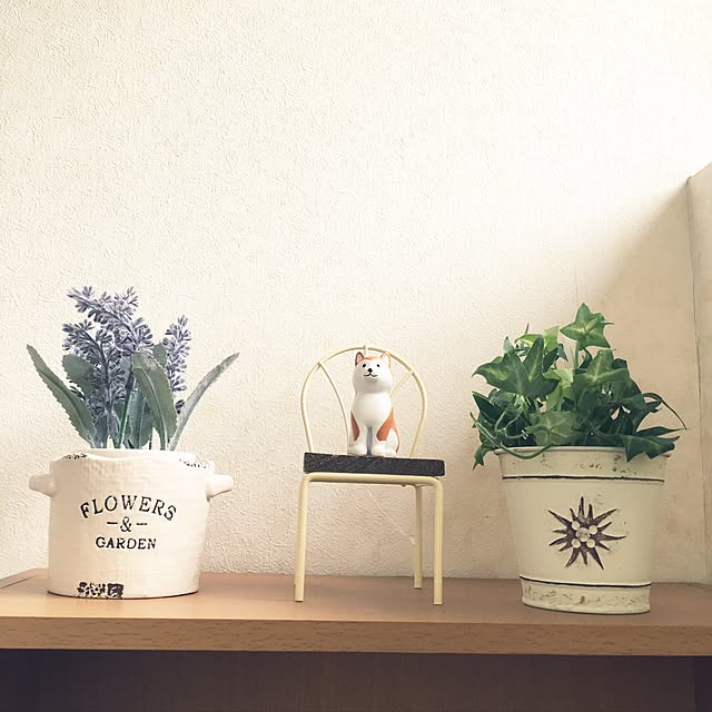 aki-akiさんの実例写真