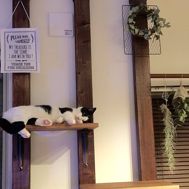 neuruさんの実例写真