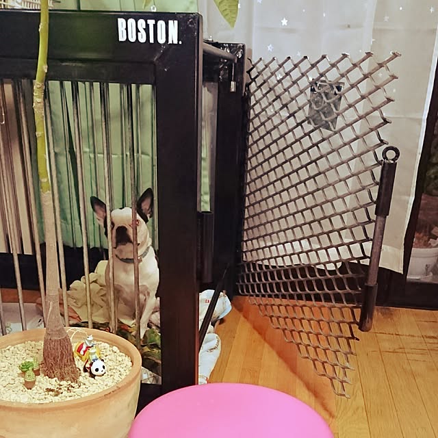 maiさんの実例写真