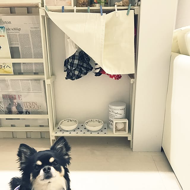 trrさんの実例写真