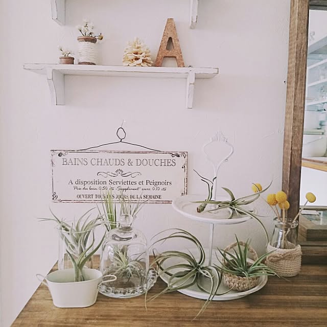 tiny-tinyさんの実例写真