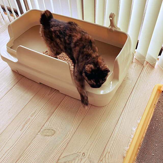 Mihoさんの実例写真