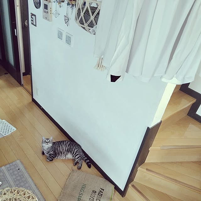 hiro3さんの部屋