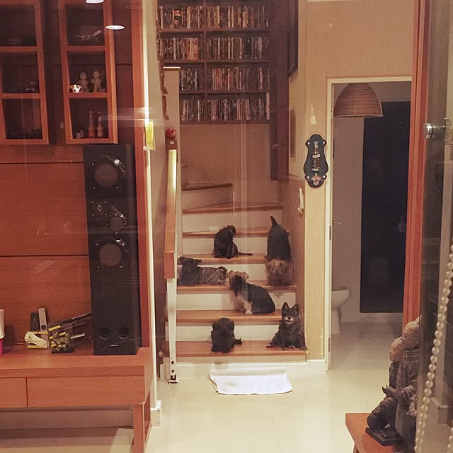 Thammaratさんの実例写真