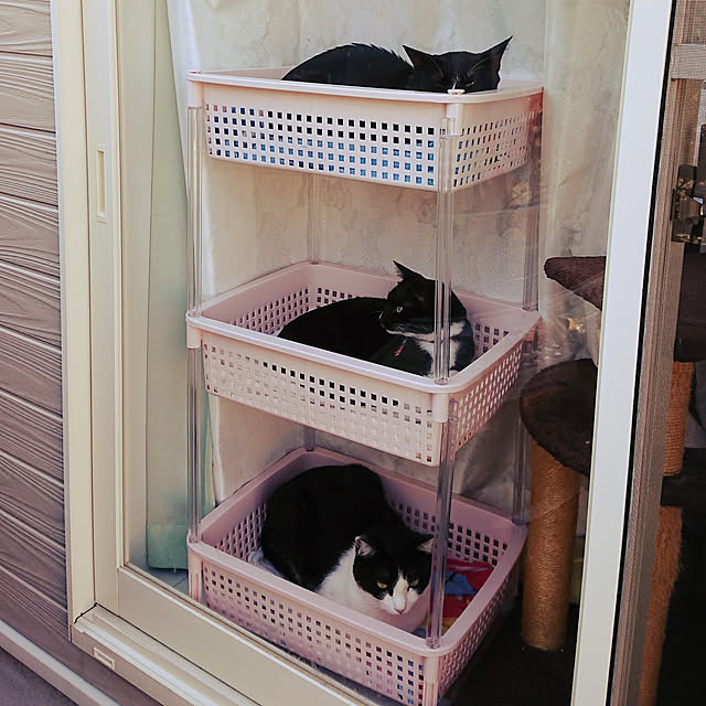 Miwaさんの部屋
