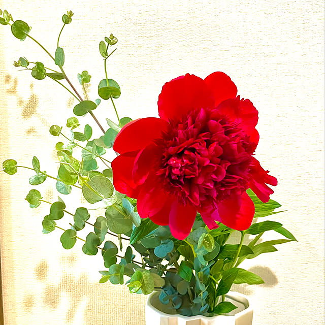 maminさんの部屋