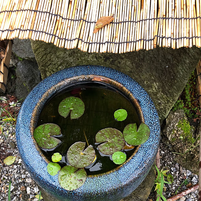 soupinmamaさんの実例写真
