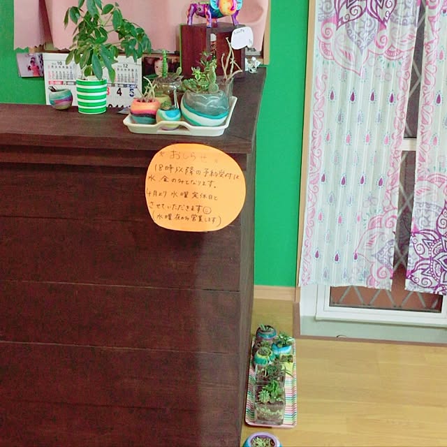 玄関/入り口/IKEA/多肉植物のインテリア実例 - 2016-11-09 18:00:37