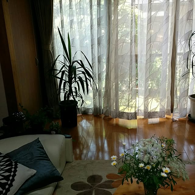 hiroさんの実例写真