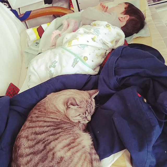 Manaさんの実例写真