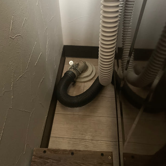 Hakuさんの部屋
