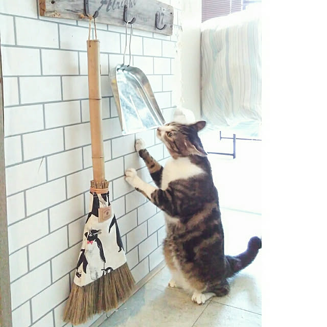 yuuさんの実例写真