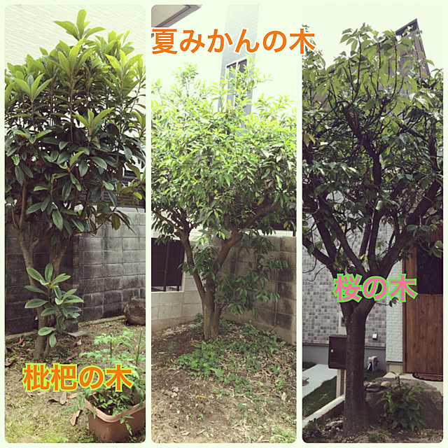 rizumu4649さんの実例写真