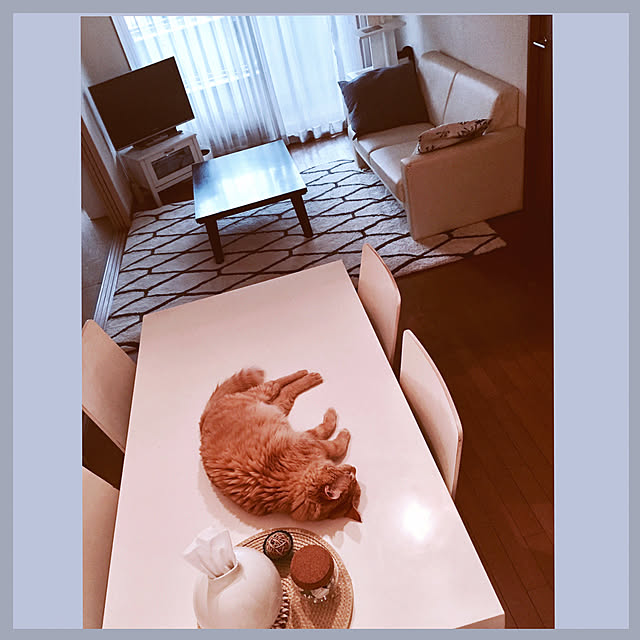 Ryokoさんの実例写真