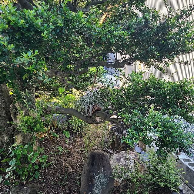 Rubiconさんの部屋