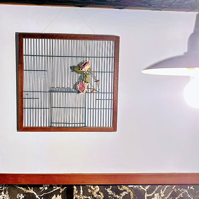 akaidarumaさんの部屋