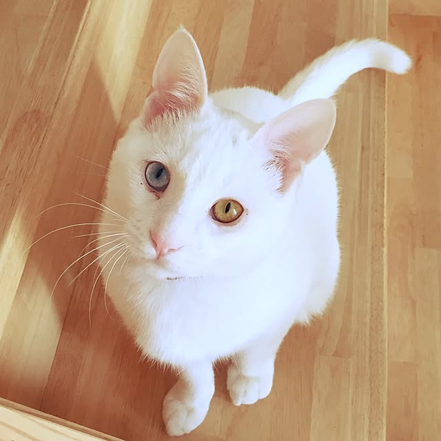 fuku48さんの実例写真