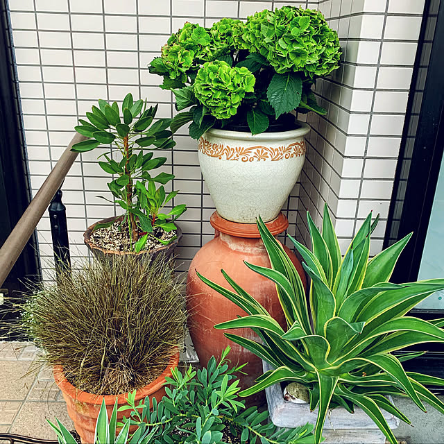 ponyoさんの実例写真