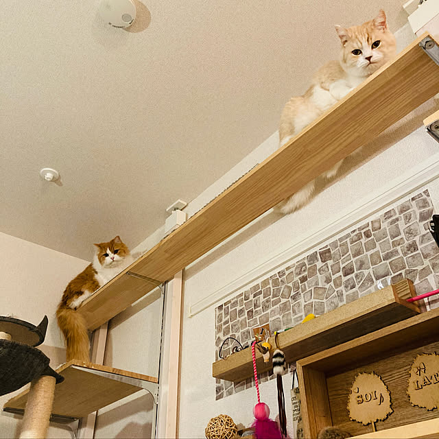 H.Tさんの実例写真