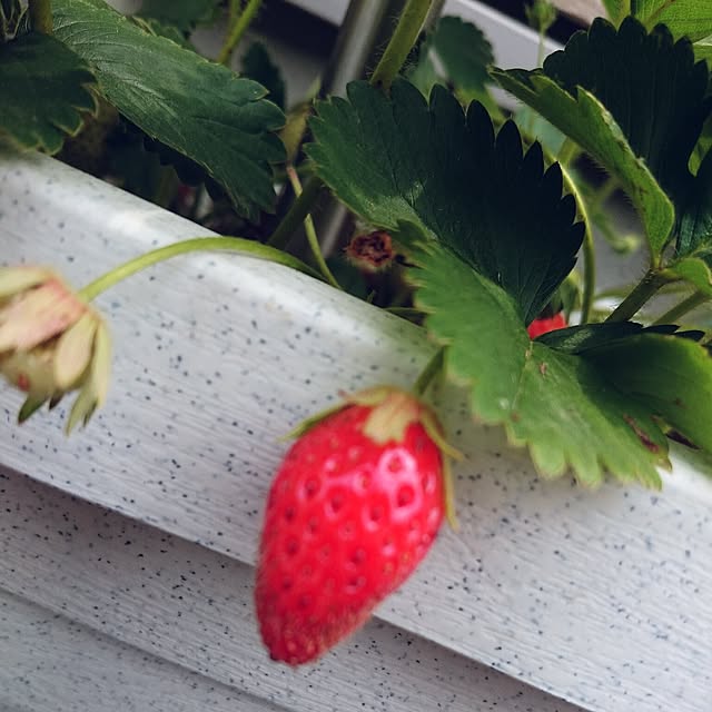 mkさんの実例写真