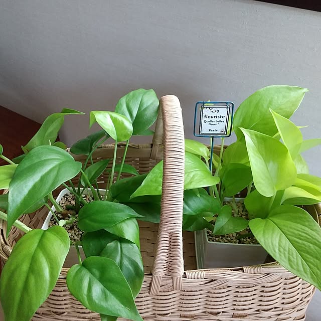 meiさんの部屋