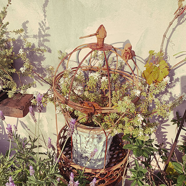 AYUKOさんの実例写真