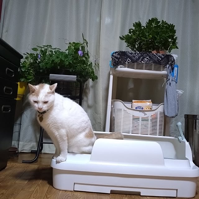 NOAHさんの部屋
