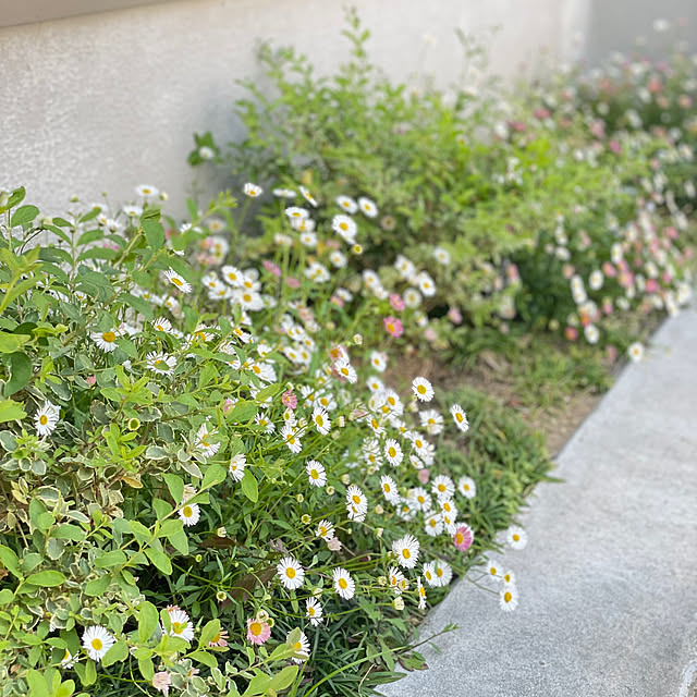 yanada0606さんの実例写真