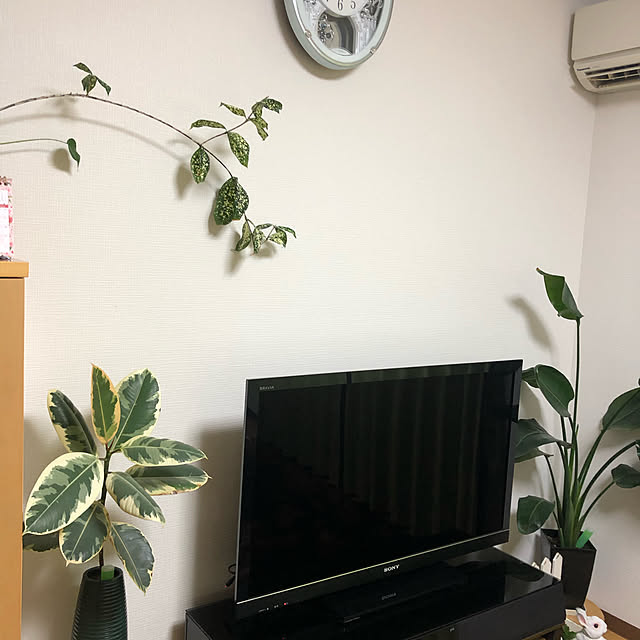 実例写真