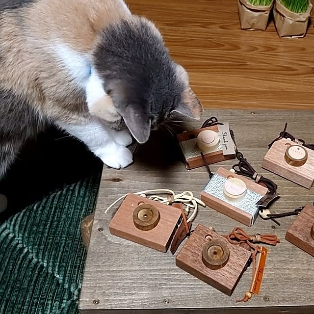 fukuさんの実例写真