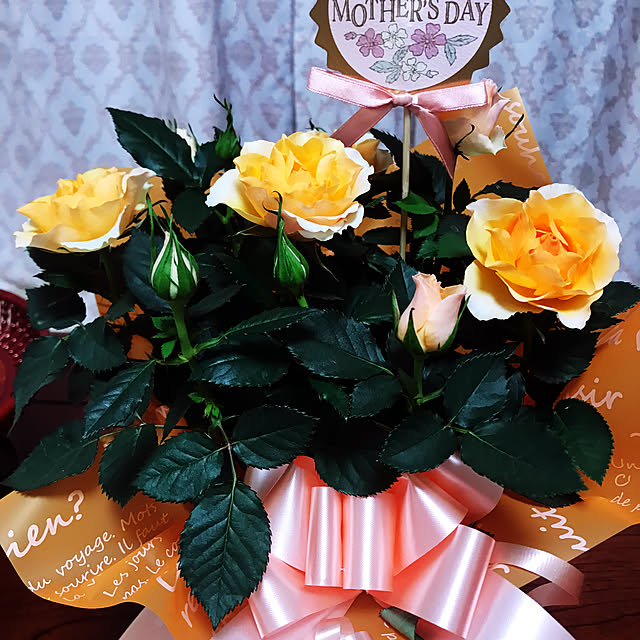 marikoさんの部屋
