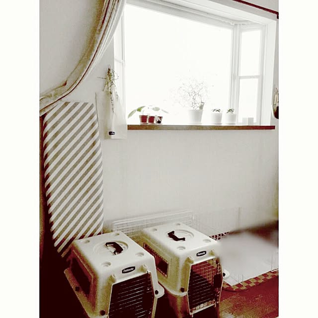 kaoru.m11さんの実例写真