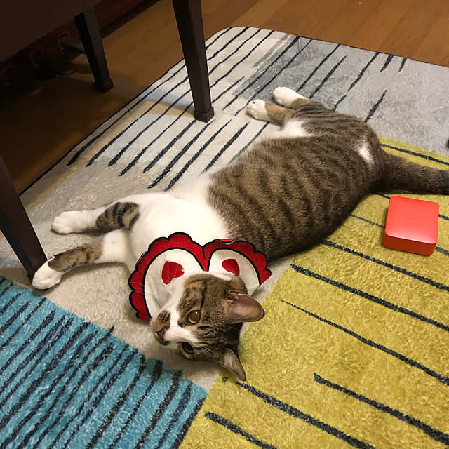 jijiさんの実例写真