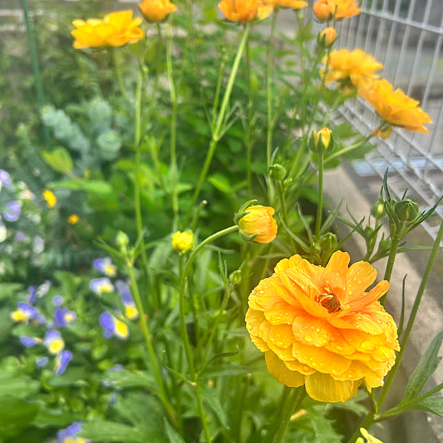 banbinaさんの部屋