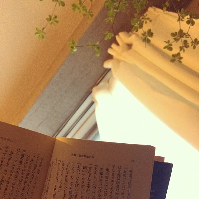 Ichirinさんの実例写真
