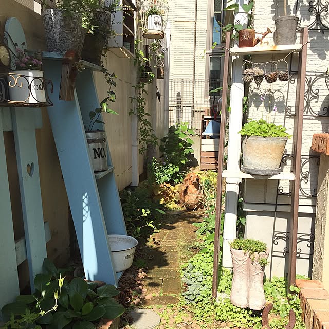melさんの実例写真