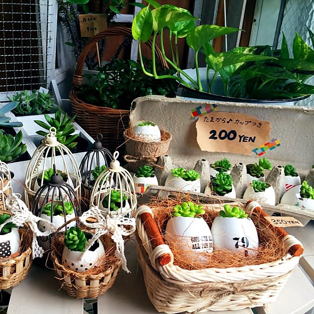coraruさんの実例写真