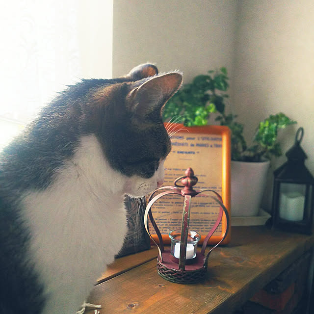 rinさんの実例写真