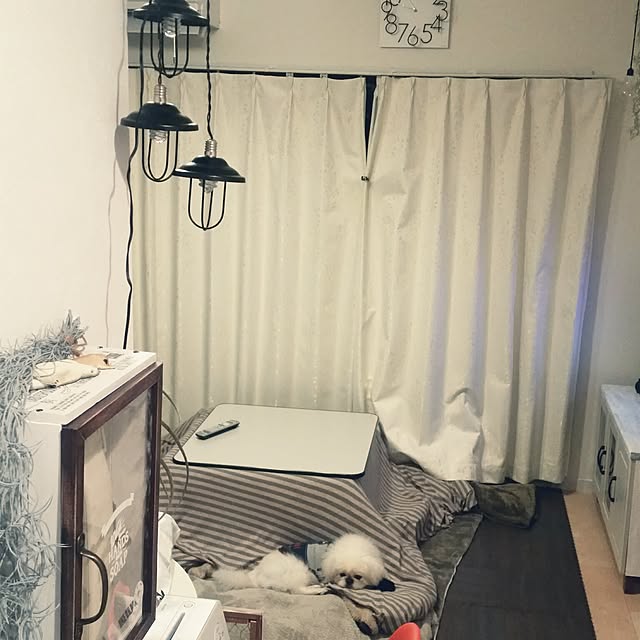yukagomaさんの実例写真