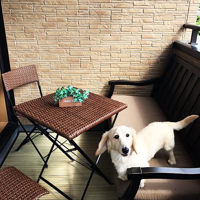 tmさんの実例写真