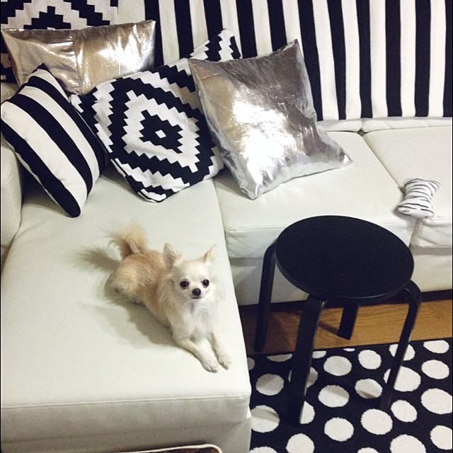 honeyさんの実例写真